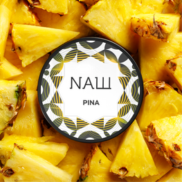 NASCH Tobacco 25g - PINA