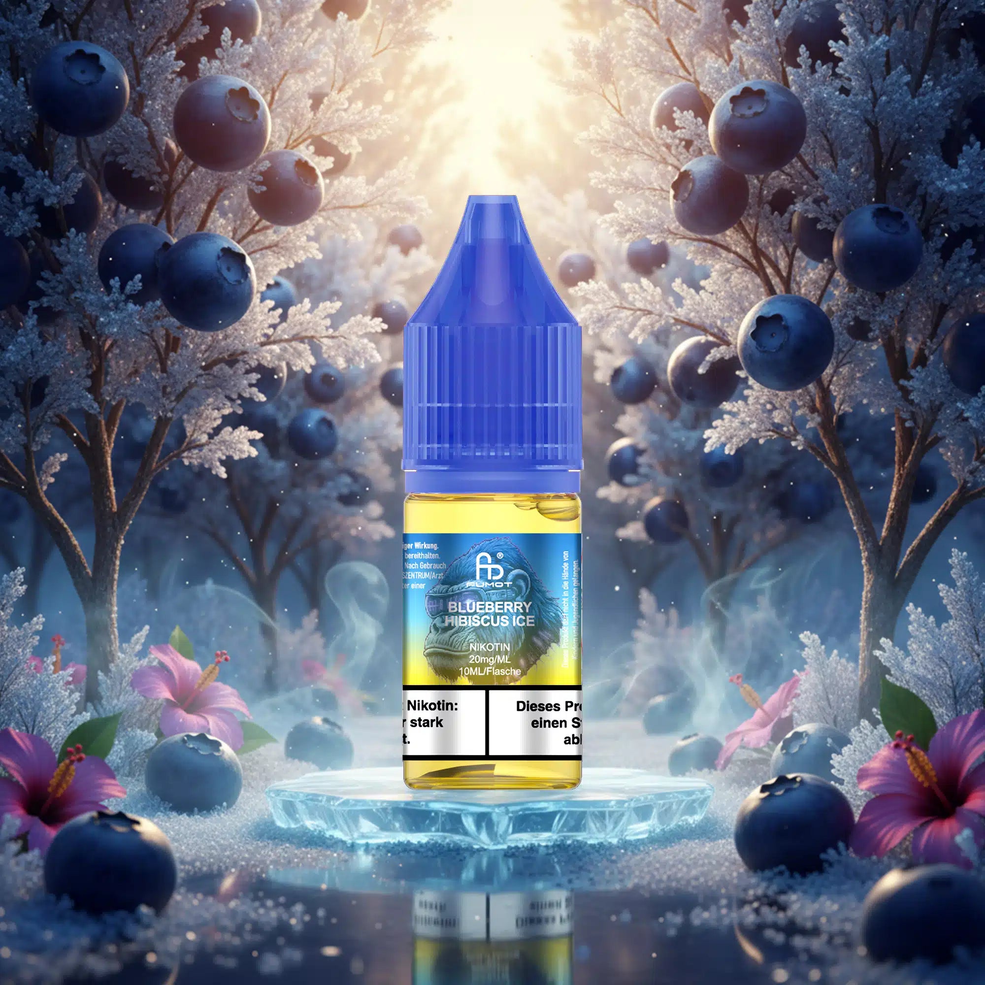 RandM Tornado Liquid 10ml - Blueberry Hibiscus Ice RandM Tornado Liquid 10ml - Blueberry Hibiscus Ice