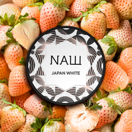 NASCH Tobacco 25g - JAPAN WHITE
