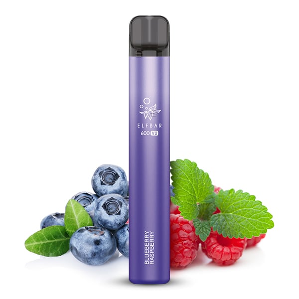 ELFBAR 600 V2 - Blueberry Raspberry - Einweg E-Zigarette