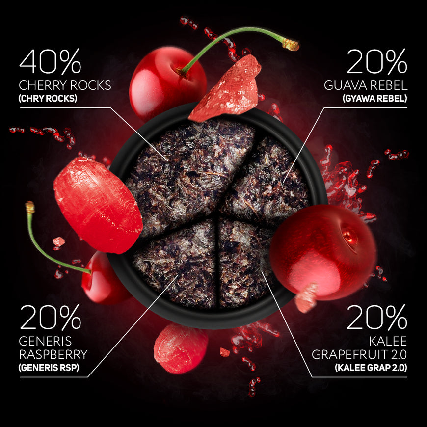 DARKSIDE Tabak CORE 100g - CHRY ROCKS