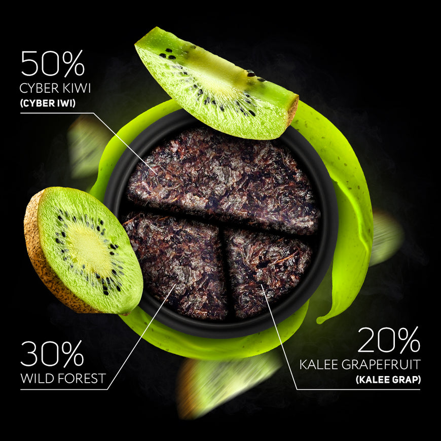 DARKSIDE Tabak CORE 100g - CYBER IWI